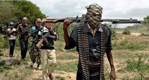 Armed Bandits Kidnap Five Female Students from Federal University in Katsina