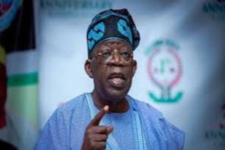 Nigerians Unconcerned Over Rumours of President Tinubu Withdrawing Nomination of Ruby Onwudiwe Over Support for Peter Obi