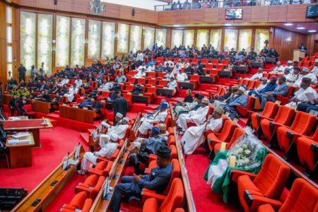 Nigerians Critique Senate's Swift Approval of Judicial Pay Rise Bill