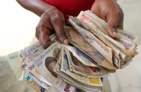 Currency Crisis: Nigeria's Naira Plummets, Emerges as World's Worst-Performing Currency