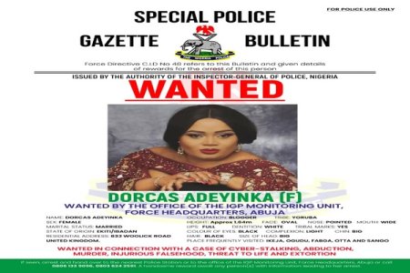Nigerian Police Under Fire for Amusing Yet Unconventional Wanted Poster  Copy