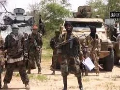 Fresh Boko Haram Attack in Adamawa: Many Feared Killed, 60 Houses Razed