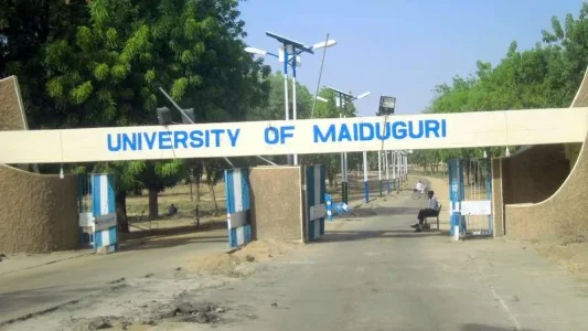 Boko Haram: UNIMAID Issues Statement on Reported Resignation of 70 Lecturers