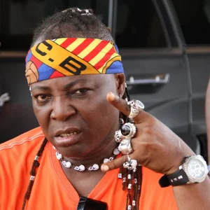 ResumeOrResign Protest: Why Charly Boy Was Attacked - Presidency