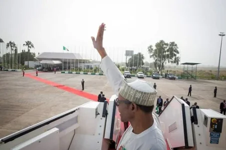 'FFK And Fayose Should Not Commit Suicide': Nigerians React To Buhari's Return
