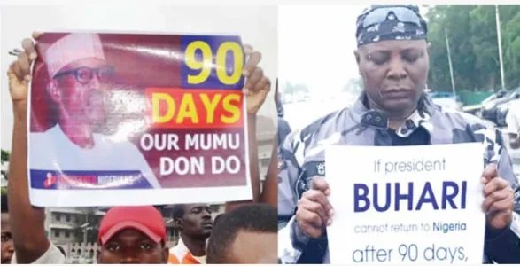Buhari Didn't Come Back As A Result Of ResumeOrResign Protest - Adesina
