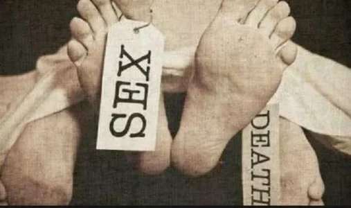 sesx.JPG sesx.JPG