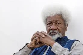 Wole Soyinka: Campaigning For Buhari's Second Term Now is Senseless