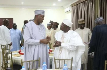 saraki n3.JPG