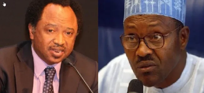 Senator Shehu Sani Criticizes Buhari Over Decision To Pull Out Of 90 International Organisations