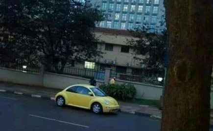 arua1.jpg