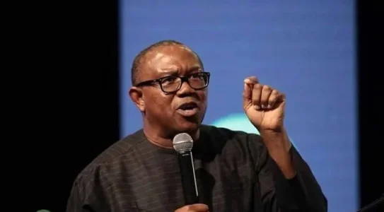 President Buhari's Administration Has No Idea How To Save Nigeria - Peter Obi