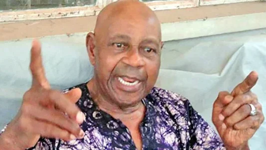 Ex Minister Tam David West: Search For Oil in Northern Nigeria Will End Fruitless