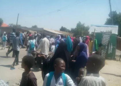borno2.JPG