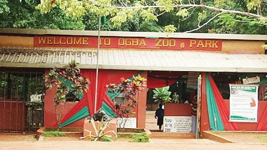 ARRESTED: Ogba Zoo Boss Kidnappers
