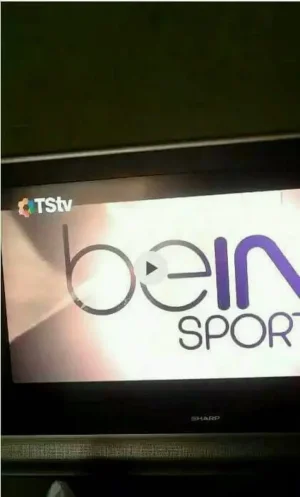 tstv2.jpg