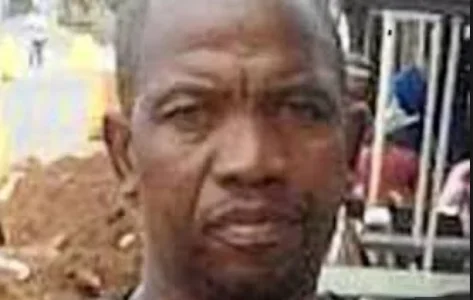 Sick Man Caught 2 Dogs Mating, Chased The Male Away, Had Sex With The Female