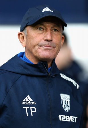 pulis.jpg