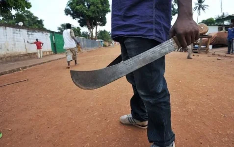 Machete-wielding Man, Shouts 'Allahu Akbar', Hacks 3 Borno Students To Death
