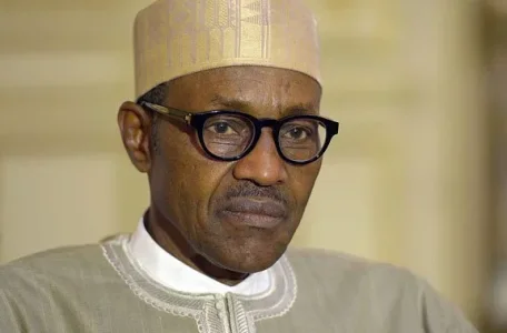 buhari skeptical.PNG