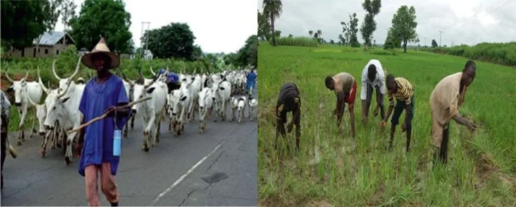 Herdsmen-farmers.jpg