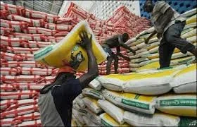 Buhari Pledges To Ban Importation of Rice This Year