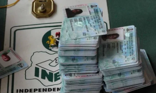 INEC: How to Check, Verify Your Voter's Card Status Online