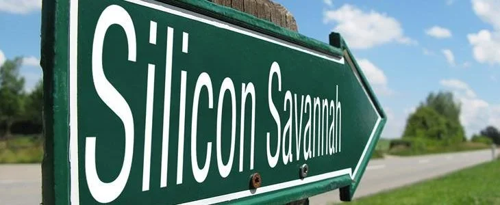 silicone_savannah-730x300.jpeg