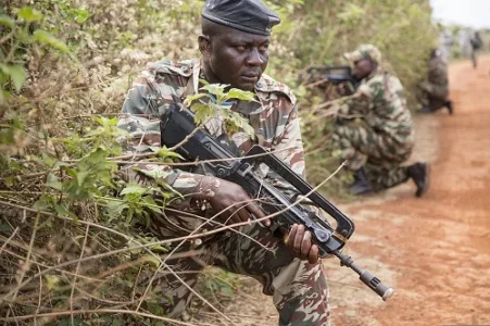 Cameroon Soldier Shoots Dead Three Nigerian Civilians - Punch Newspaper