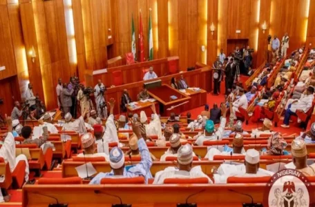 senate (1).jpg
