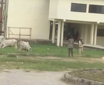 bayelsa.JPG bayelsa.JPG