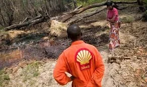 shell.jpg shell.jpg