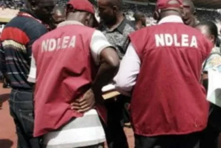 ndlea.jpg ndlea.jpg