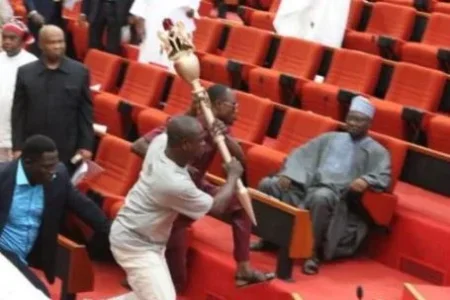 mace.JPG mace.JPG