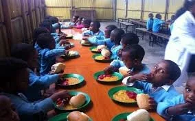 free-feeding.jpg