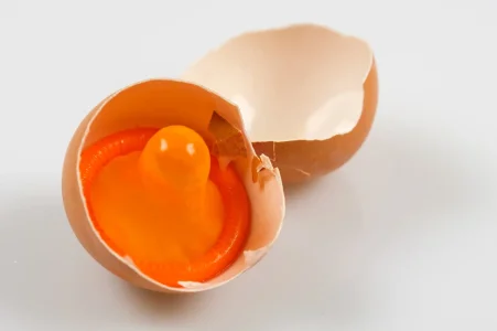 condom-egg-pregnancy.jpg condom-egg-pregnancy.jpg