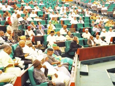 House-of-Representatives - protest against killings - thisday live - nigeria politics.jpg House-of-Representatives - protest against killings - thisday live - nigeria politics.jpg