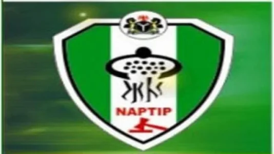 naptip.jpg naptip.jpg