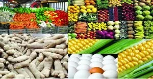 farmers and herdsmen - nigeria metro news - sunnews online.jpg farmers and herdsmen - nigeria metro news - sunnews online.jpg