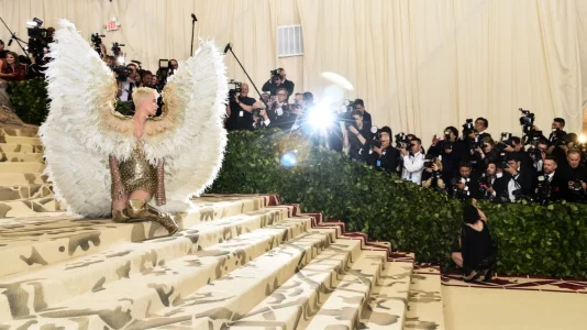 met gala.jpg met gala.jpg