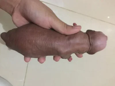 puppy.jpg puppy.jpg
