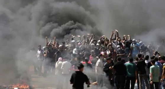 palestine.jpg