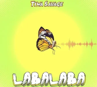 labalaba.jpg labalaba.jpg