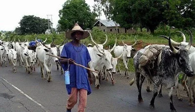 herdsmen.jpg herdsmen.jpg