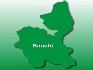 bauchi.jpg bauchi.jpg