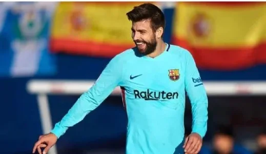 pique ger.JPG