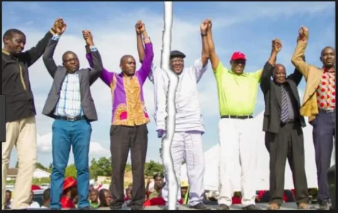 cabinet_chamisa.jpg cabinet_chamisa.jpg