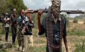 Nairaland-Boko haram.jpg