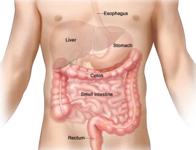 colon-cancer.png colon-cancer.png