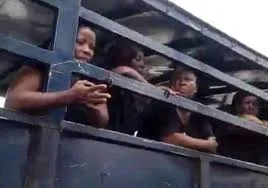 naija.ng news-Ipob Members.jpg